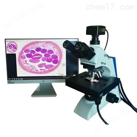 电动显微镜-重庆奥特光学仪器有限公司