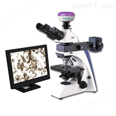 MIT300/500透反射金相显微镜