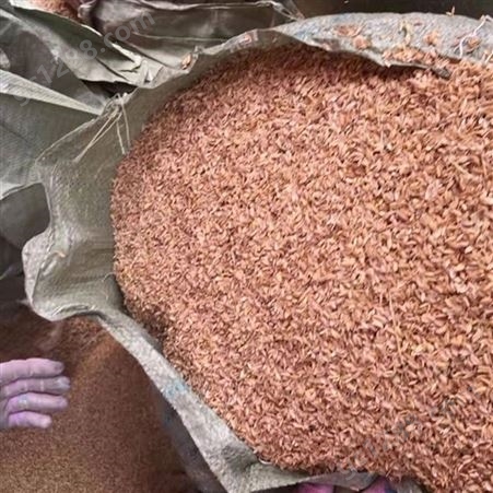 改善土壤稻壳 种植良好的纤维养料 增加土壤养份 早春农产品
