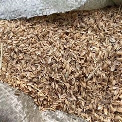 绿化种植覆盖保温稻壳 酿造发酵物使用 颗粒分明 早春农产品