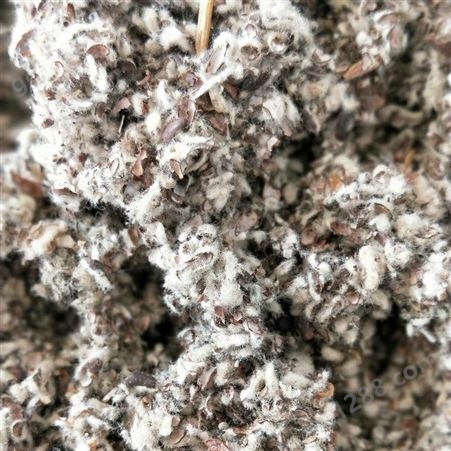 棉籽壳 菌菇专用 蘑菇养植专用棉籽壳 食用菌用棉籽壳