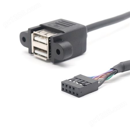 定制USB2.0 A/F双口带螺母转杜邦端子2.0-5P*2数据线 USB母带耳朵