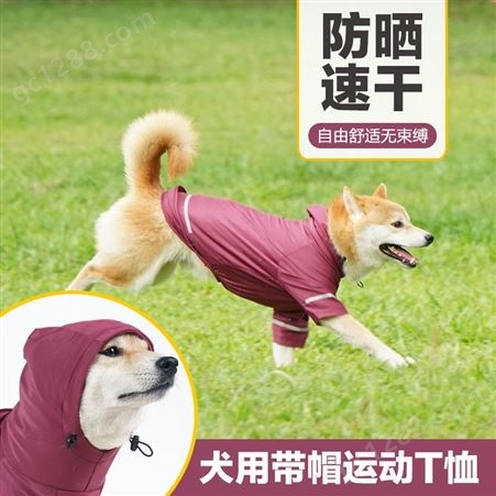 宠物服饰跨境夏季新款冰丝透气速干狗狗衣服夜间可反光带帽狗T恤