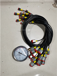 测压胶管（软管）。型号：HFH2-P1-2-P-1.0 液压压力测试辅件
