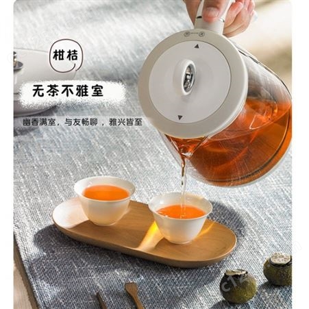 荣事达YSH10-T16套装养生壶 电热煮茶器团购 一体多功能烧水保温壶代理批发