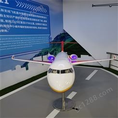 憬晨模型 大型飞机模型 飞机模型生产 商场飞机模型