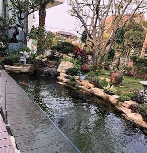 武汉市农村小院景观鱼池水水变绿处理
