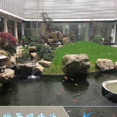 武汉市农村小院景观鱼池水水变绿处理