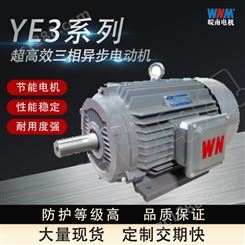安徽皖南电机股份有限公司YBX3 280M 2 90 气体防爆电机双电压