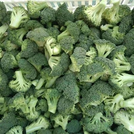 日照绿拓食品-速冻西兰花绿花菜-优质速冻蔬菜工厂