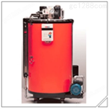 燃气锅炉 电蒸汽发生器 高效，节能，绿色环保产品